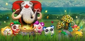 PlayAmo Casino Games